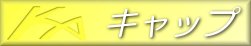 �L���b�v�̔̔��J�n�Ł`���B�i2002/02/09�j